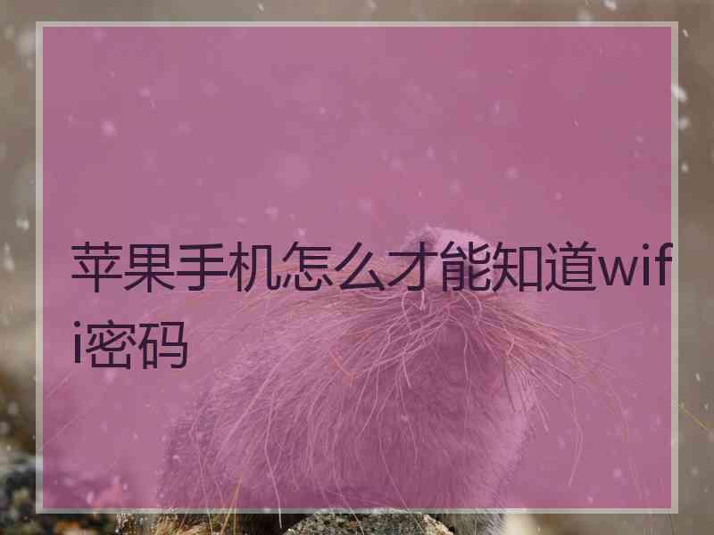 苹果手机怎么才能知道wifi密码