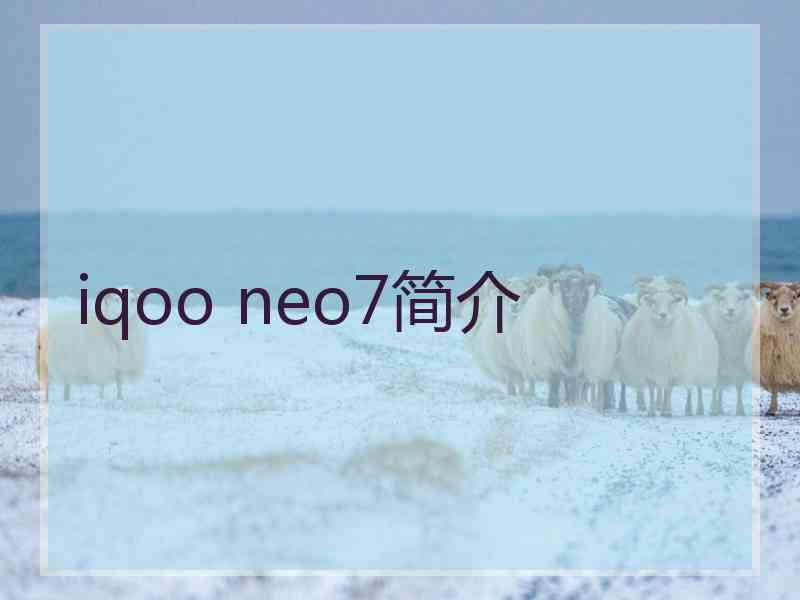 iqoo neo7简介