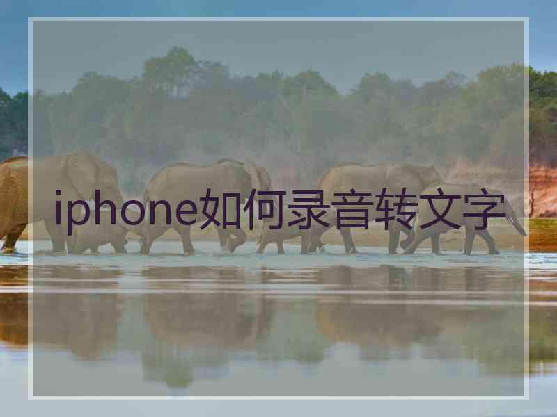 iphone如何录音转文字