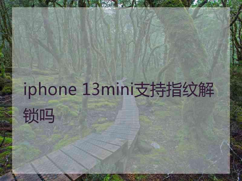 iphone 13mini支持指纹解锁吗