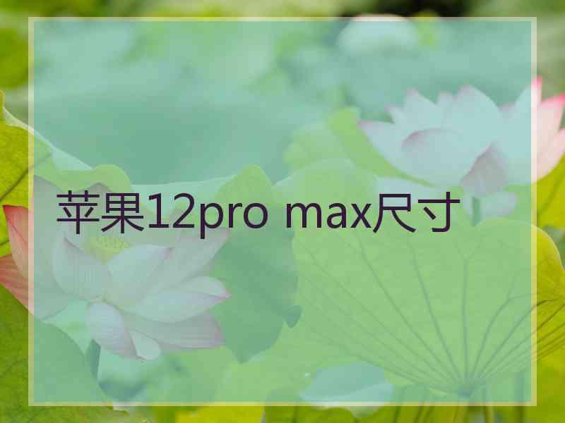 苹果12pro max尺寸