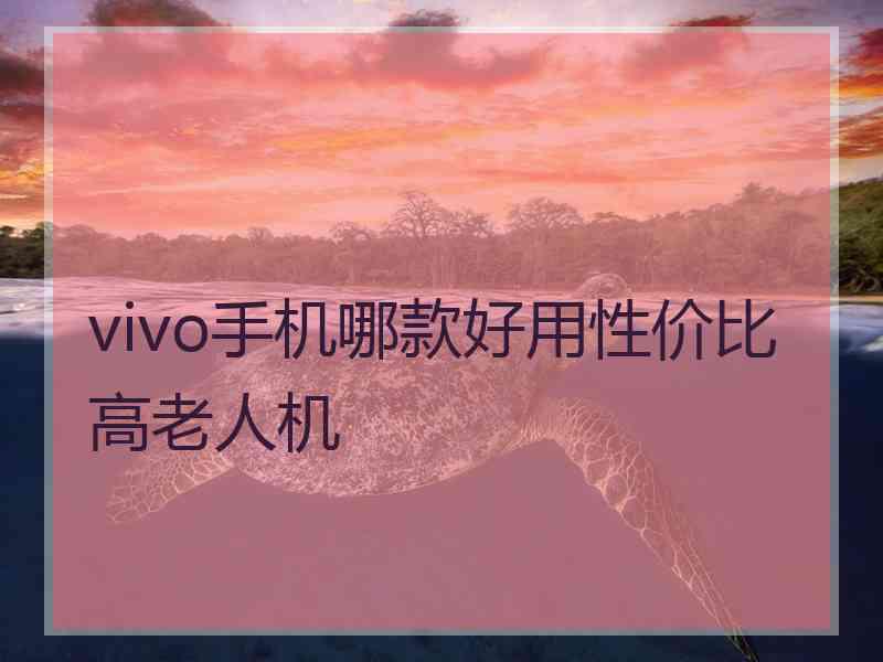 vivo手机哪款好用性价比高老人机