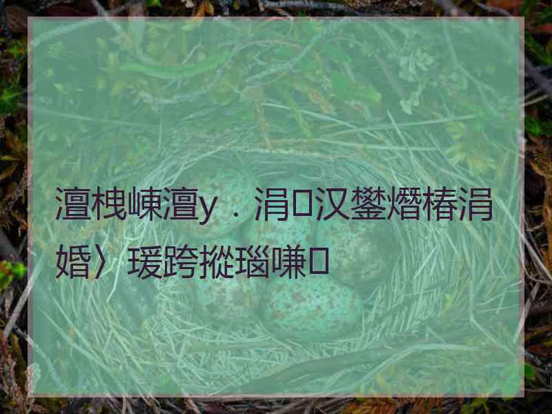 澶栧崠澶у．涓汉鐢熸椿涓婚〉瑗跨摐瑙嗛