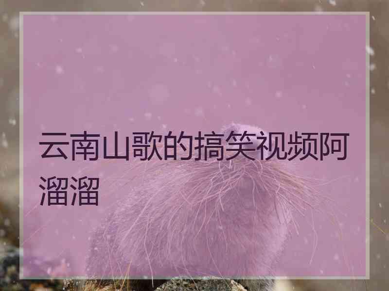 云南山歌的搞笑视频阿溜溜