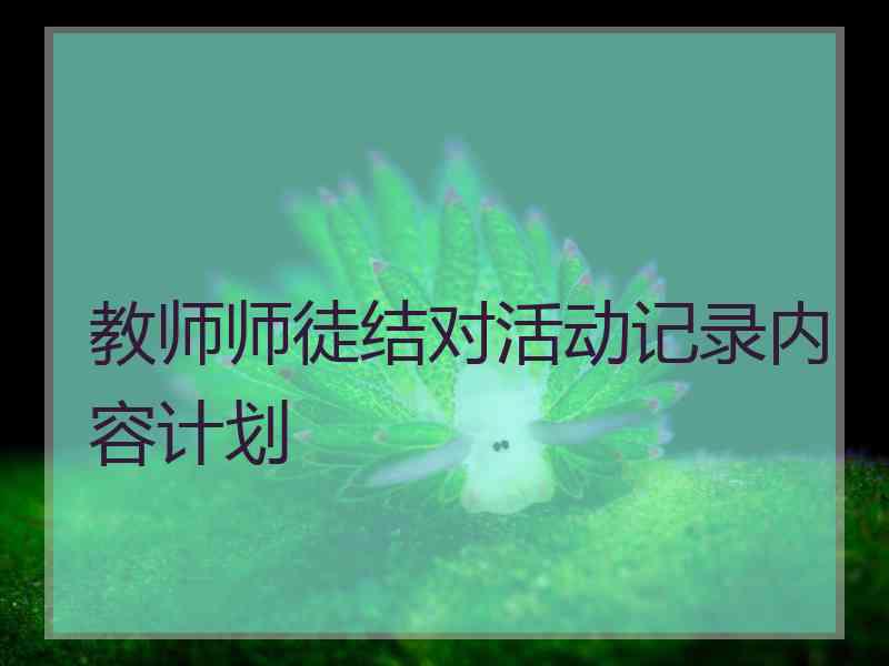 教师师徒结对活动记录内容计划