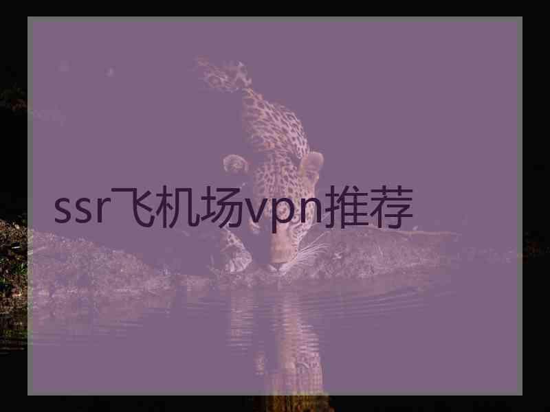 ssr飞机场vpn推荐