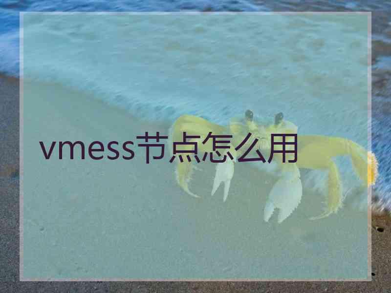 vmess节点怎么用