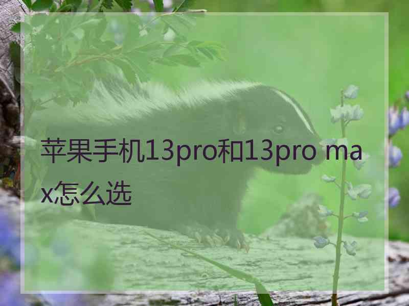 苹果手机13pro和13pro max怎么选