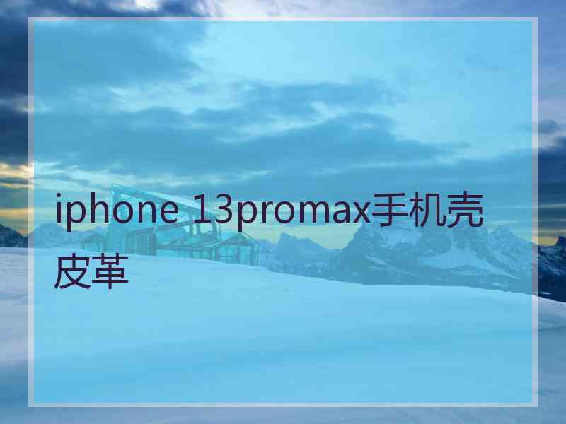 iphone 13promax手机壳皮革