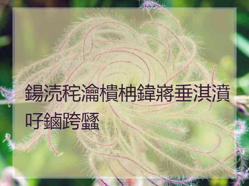 鍚涜秺瀹樻柟鍏嶈垂淇濆吇鏀跨瓥