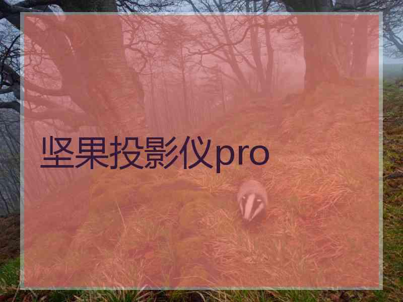 坚果投影仪pro