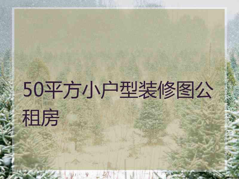 50平方小户型装修图公租房