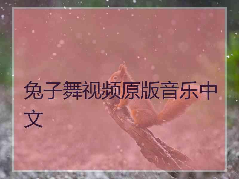 兔子舞视频原版音乐中文