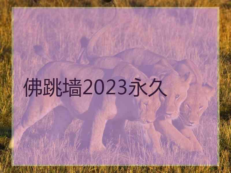 佛跳墙2023永久