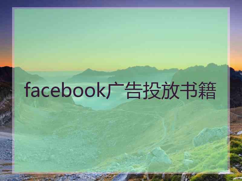 facebook广告投放书籍