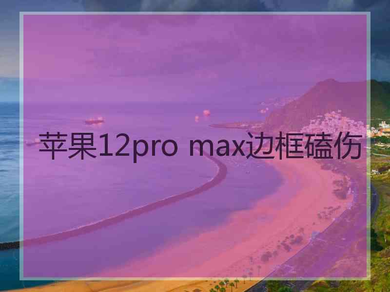 苹果12pro max边框磕伤