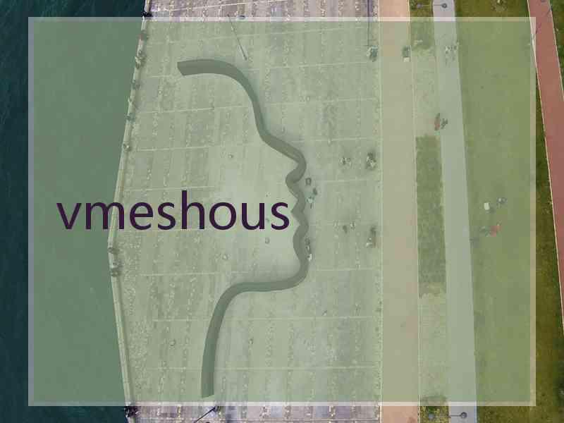 vmeshous