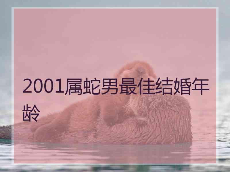 2001属蛇男最佳结婚年龄