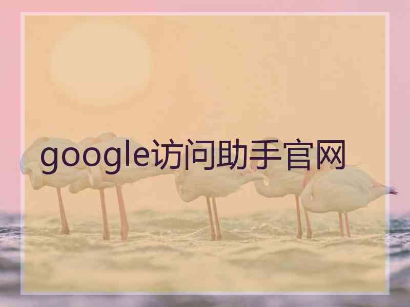 google访问助手官网