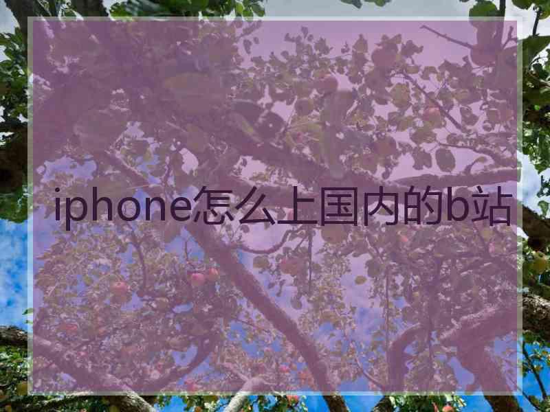 iphone怎么上国内的b站