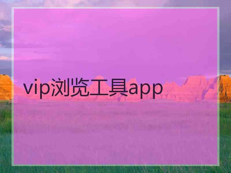 vip浏览工具app