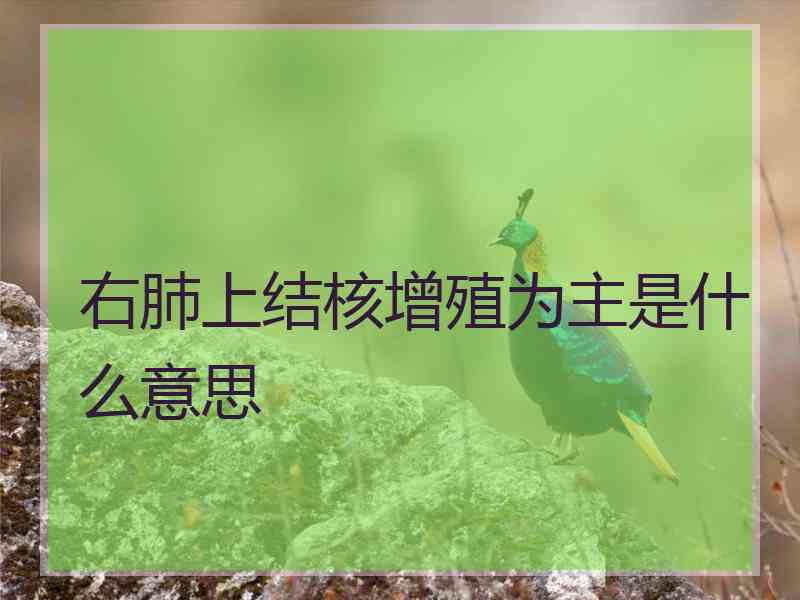 右肺上结核增殖为主是什么意思