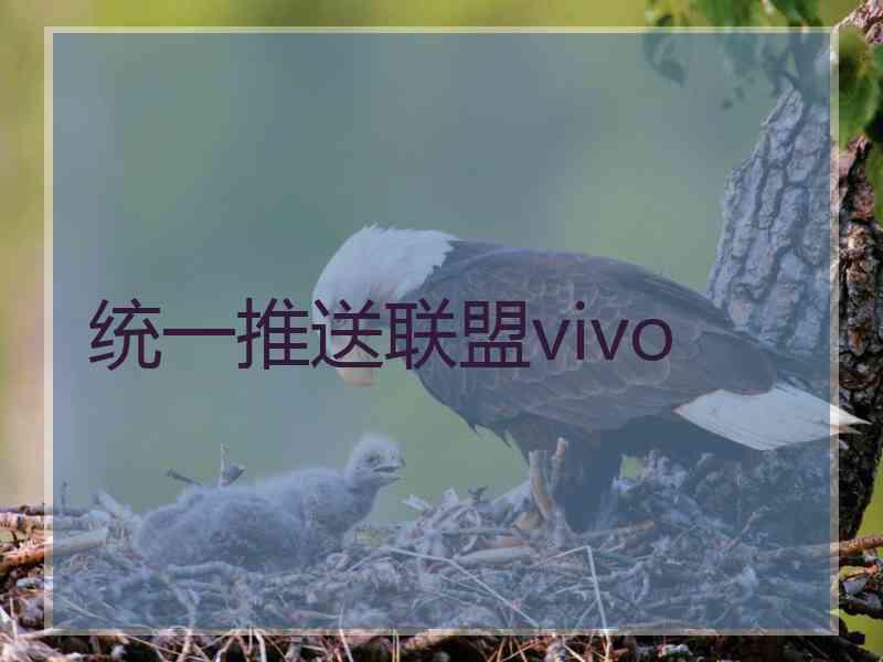 统一推送联盟vivo