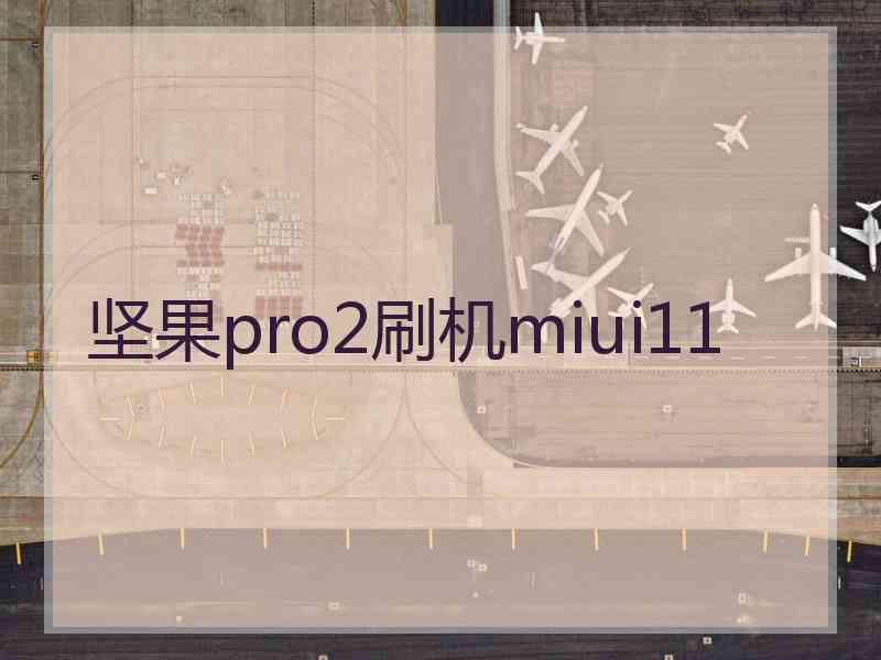 坚果pro2刷机miui11