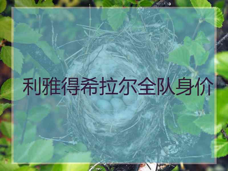 利雅得希拉尔全队身价