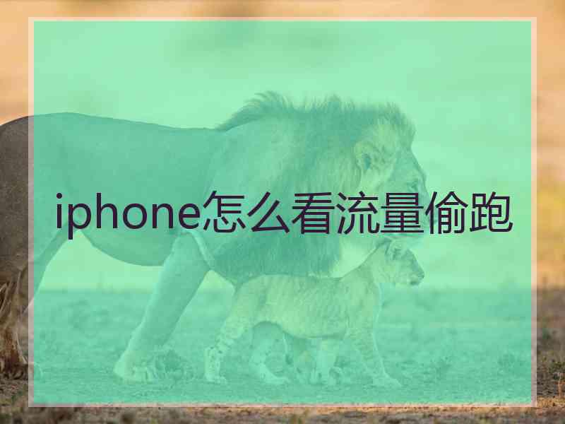 iphone怎么看流量偷跑