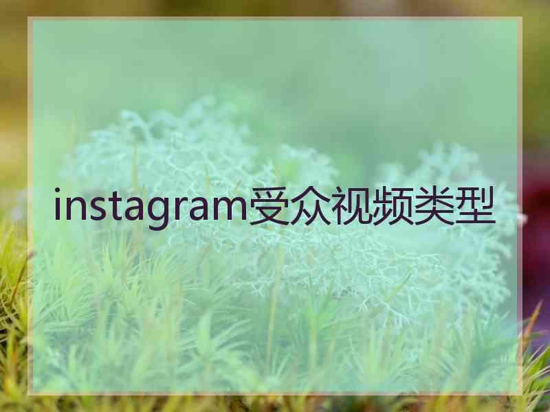 instagram受众视频类型