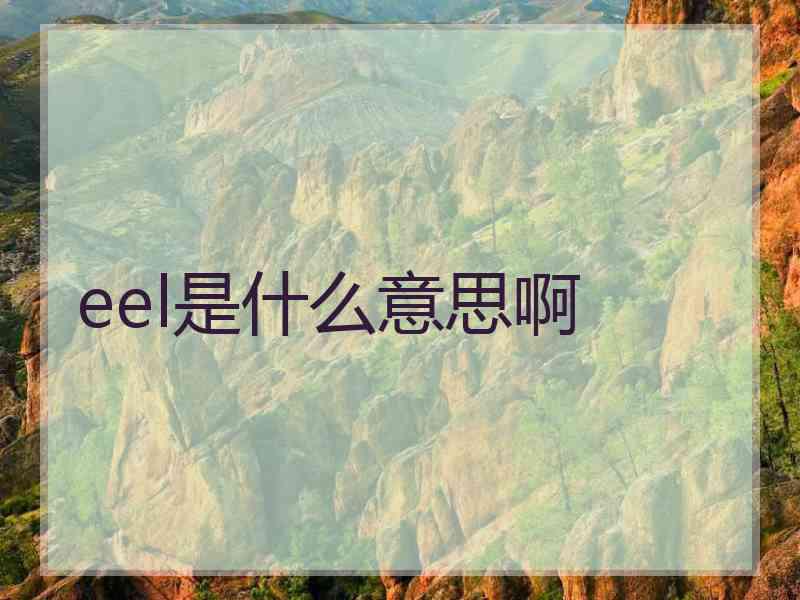 eel是什么意思啊