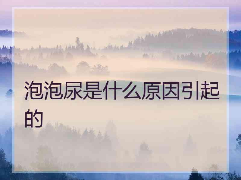 泡泡尿是什么原因引起的