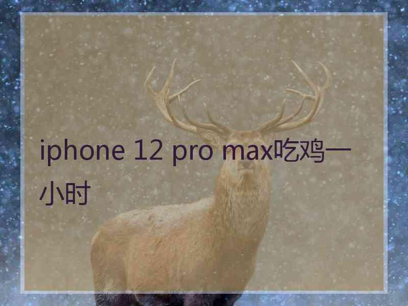 iphone 12 pro max吃鸡一小时