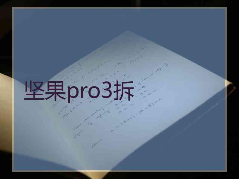 坚果pro3拆