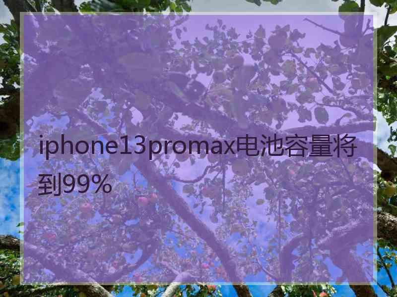 iphone13promax电池容量将到99%