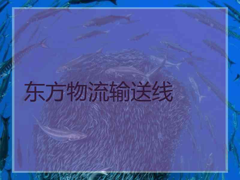 东方物流输送线