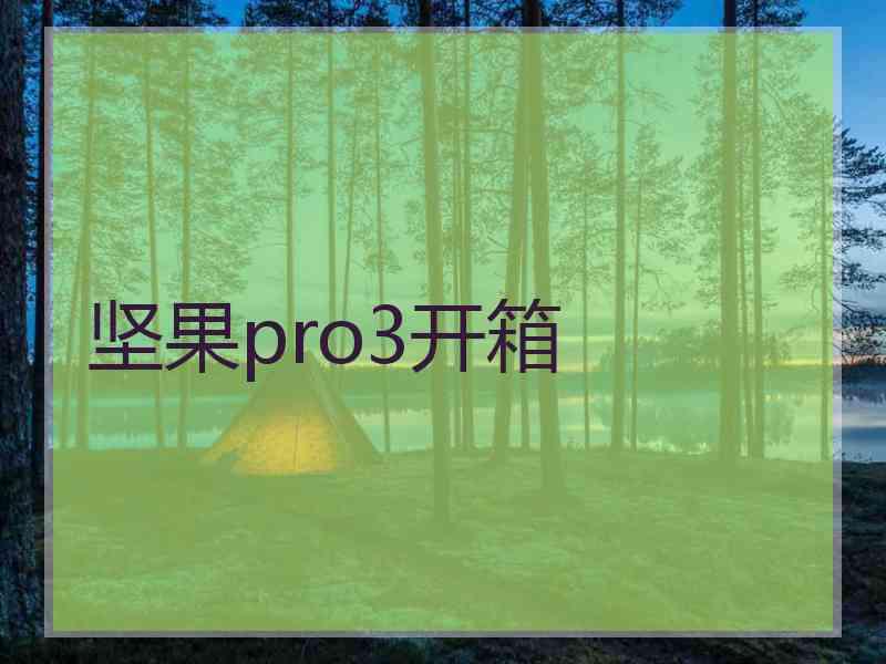 坚果pro3开箱