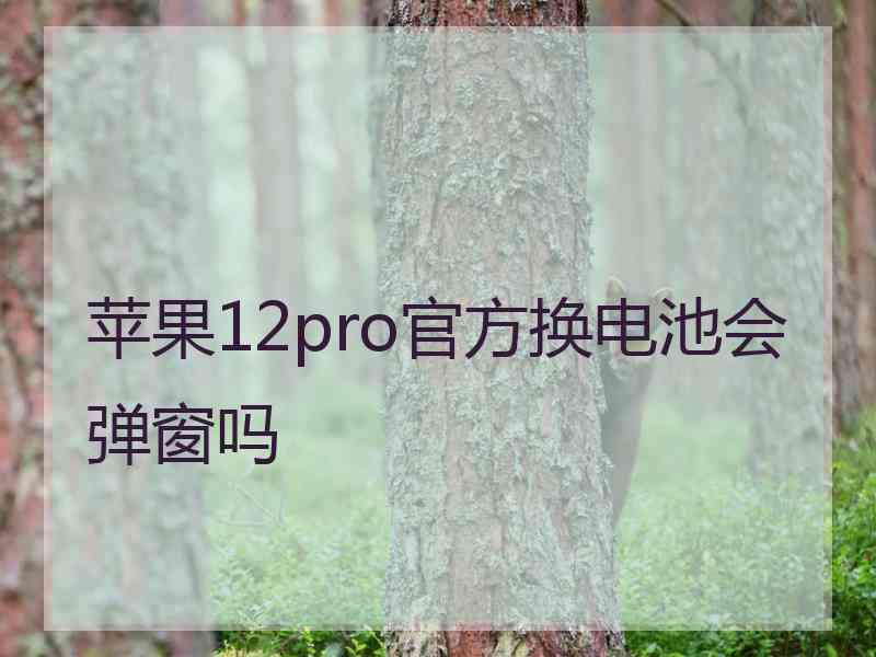 苹果12pro官方换电池会弹窗吗