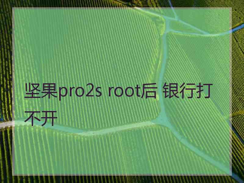 坚果pro2s root后 银行打不开