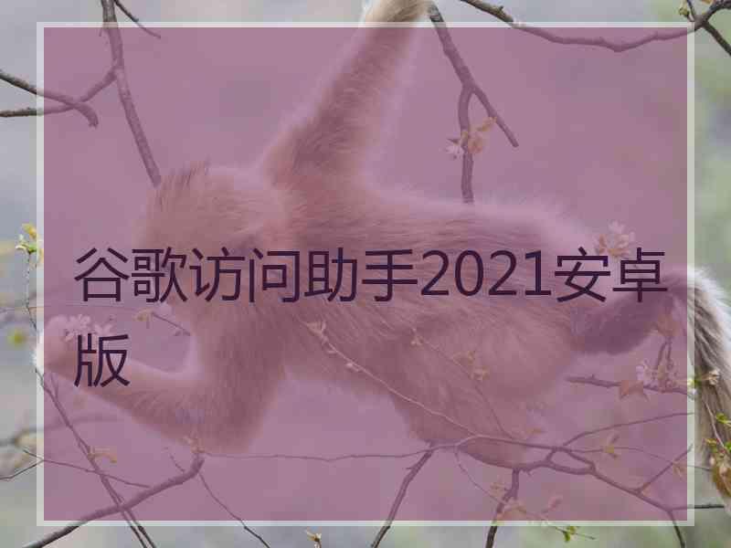 谷歌访问助手2021安卓版