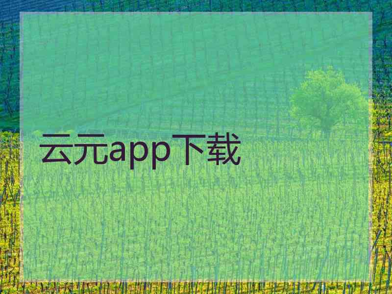 云元app下载