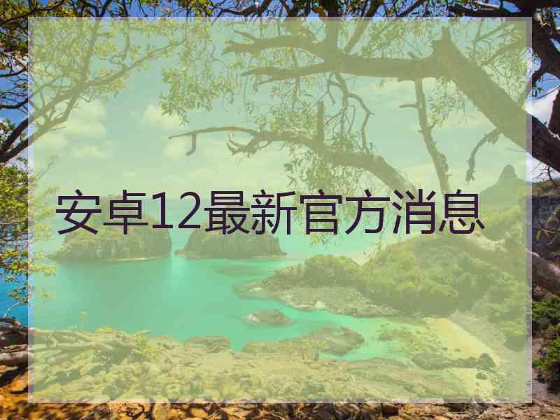 安卓12最新官方消息