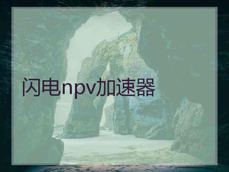 闪电npv加速器