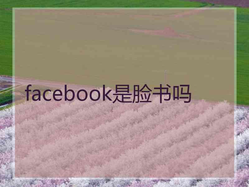 facebook是脸书吗