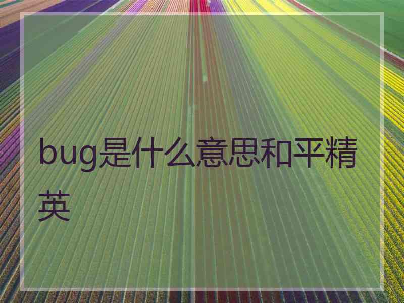 bug是什么意思和平精英