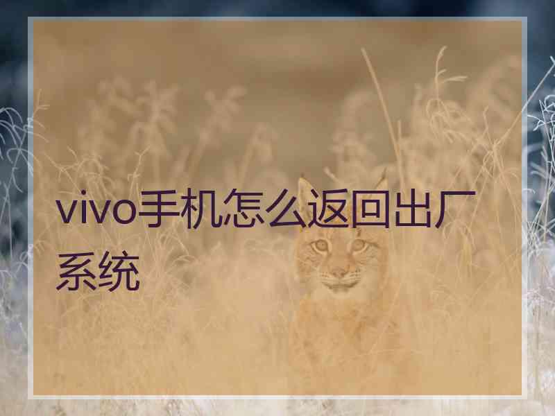 vivo手机怎么返回出厂系统