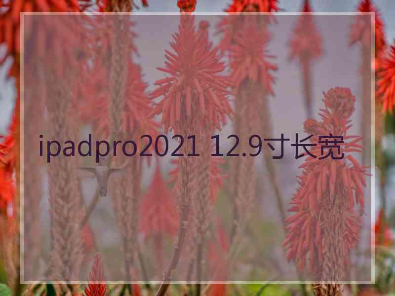 ipadpro2021 12.9寸长宽