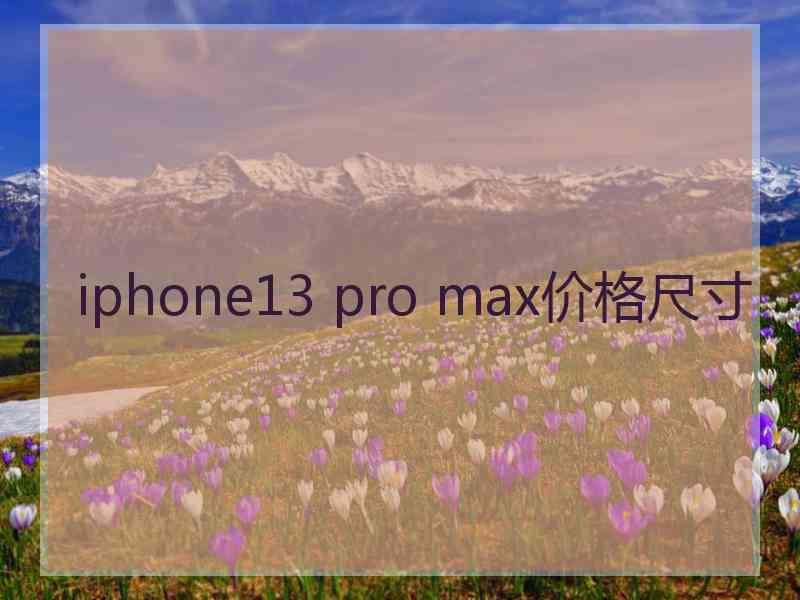 iphone13 pro max价格尺寸