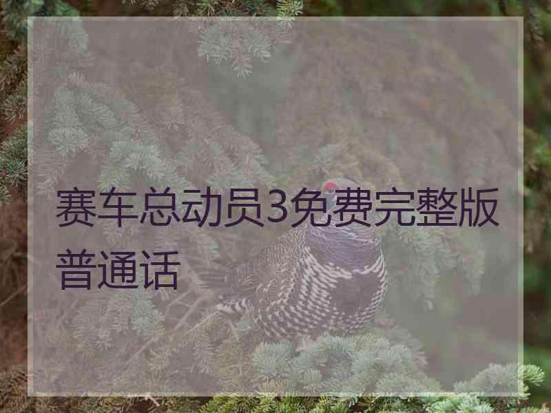 赛车总动员3免费完整版普通话